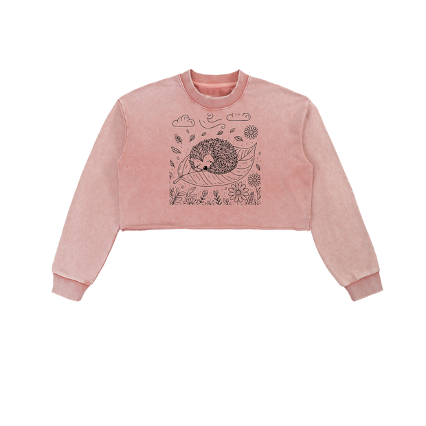 Snow Washed Raw Edge Cropped Sweatshirt